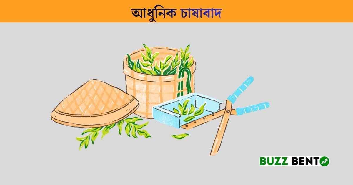 আধুনিক চাষাবাদ