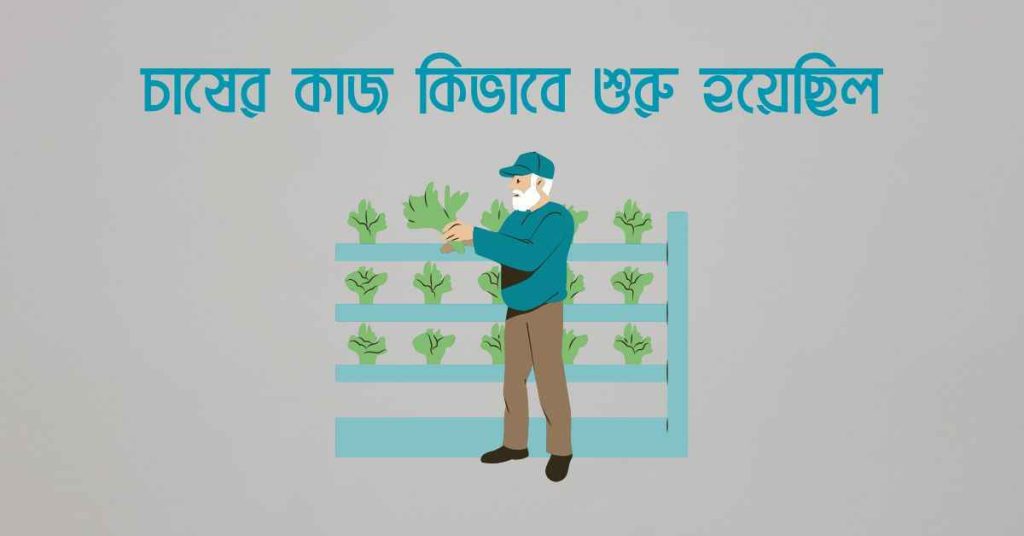 চাষের কাজ কিভাবে শুরু হয়েছিল