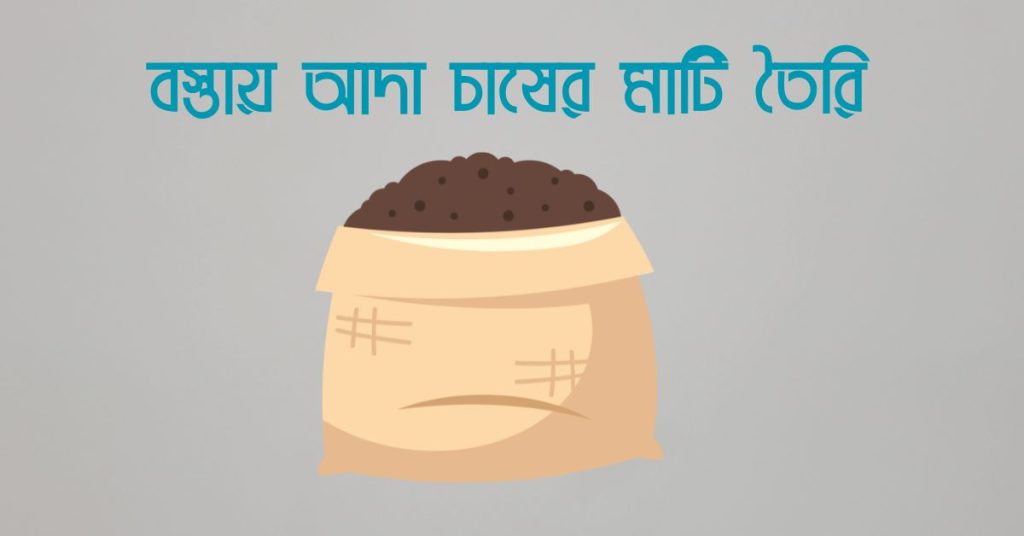 বস্তায় আদা চাষের মাটি তৈরি