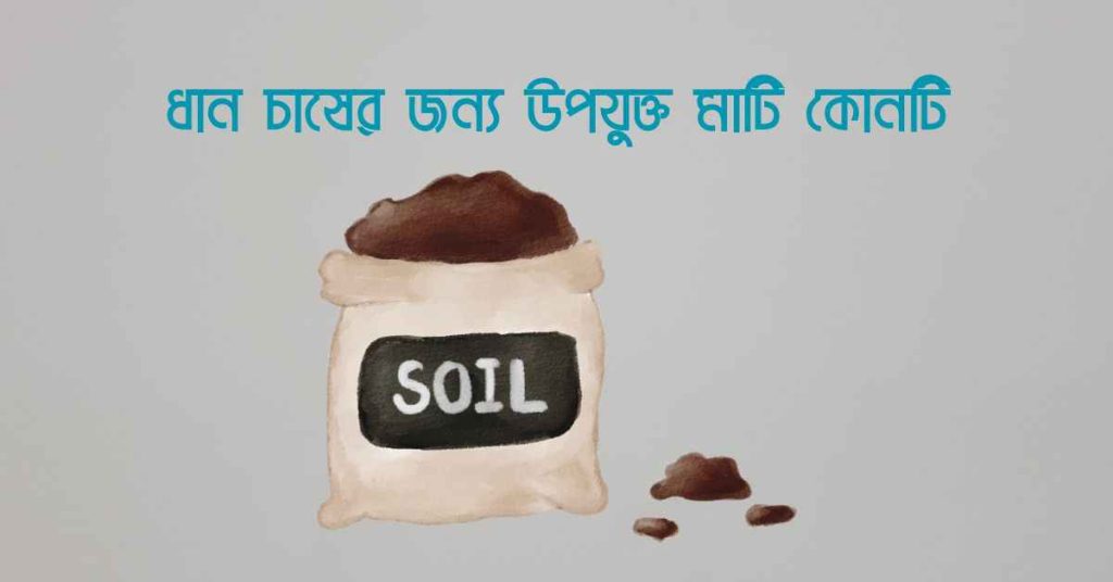ধান চাষের জন্য উপযুক্ত মাটি কোনটি