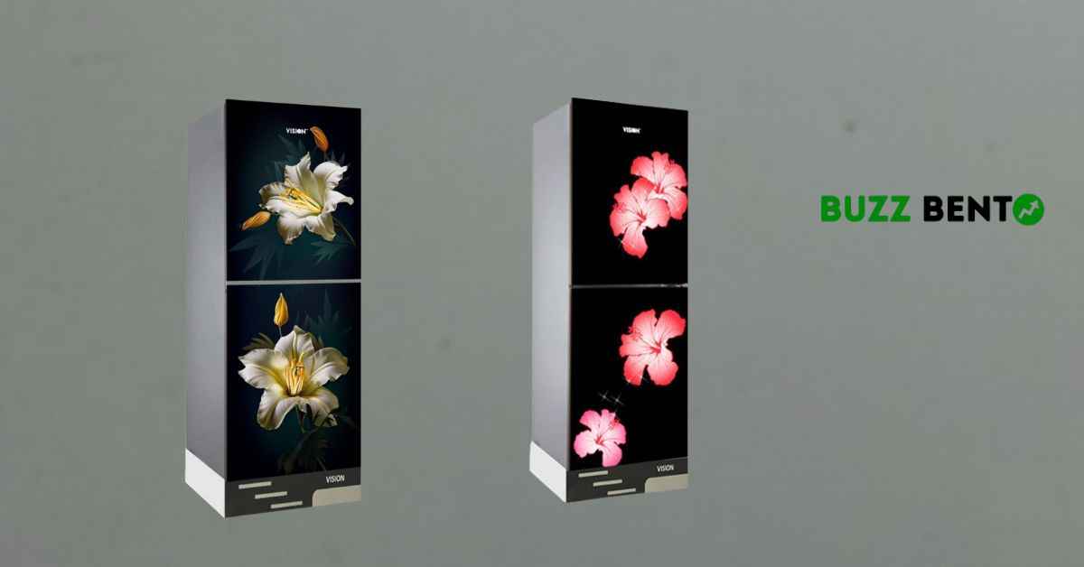 ভিশন ফ্রিজ 252 লিটার