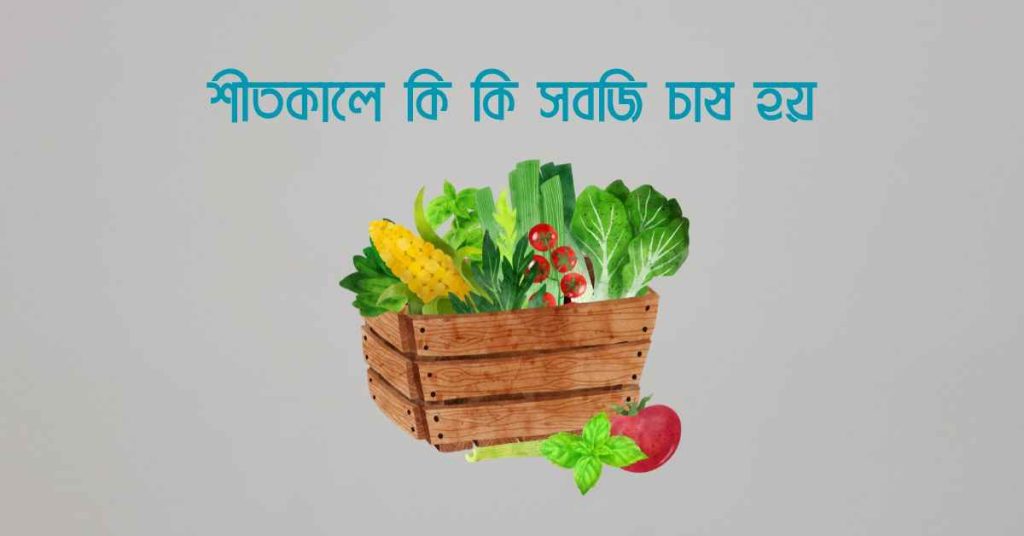 শীতকালে কি কি সবজি চাষ হয়