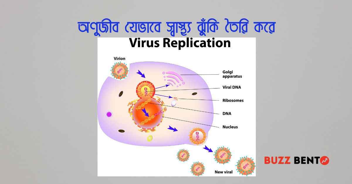 অণুজীব যেভাবে স্বাস্থ্য ঝুঁকি তৈরি করে