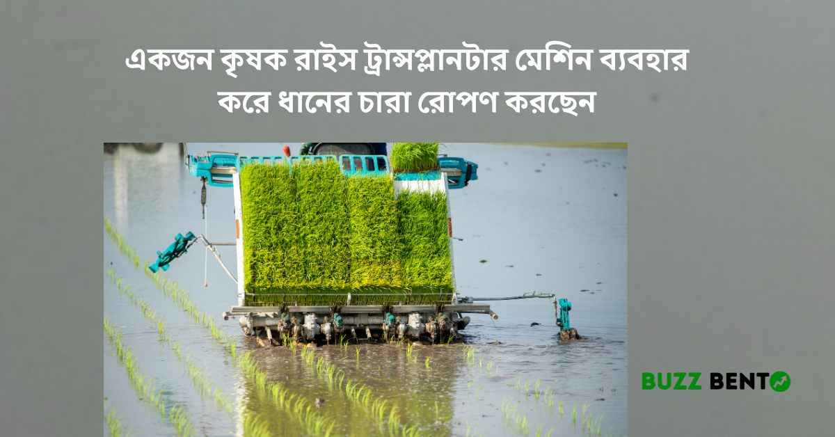একজন কৃষক রাইস ট্রান্সপ্লানটার মেশিন ব্যবহার করে ধানের চারা রোপণ করছেন