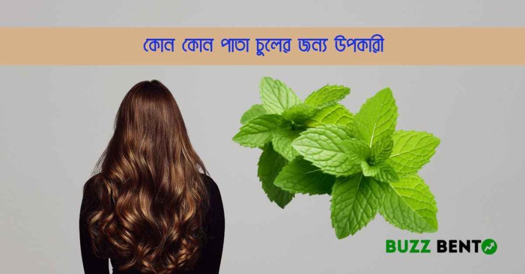 কোন কোন পাতা চুলের জন্য উপকারী