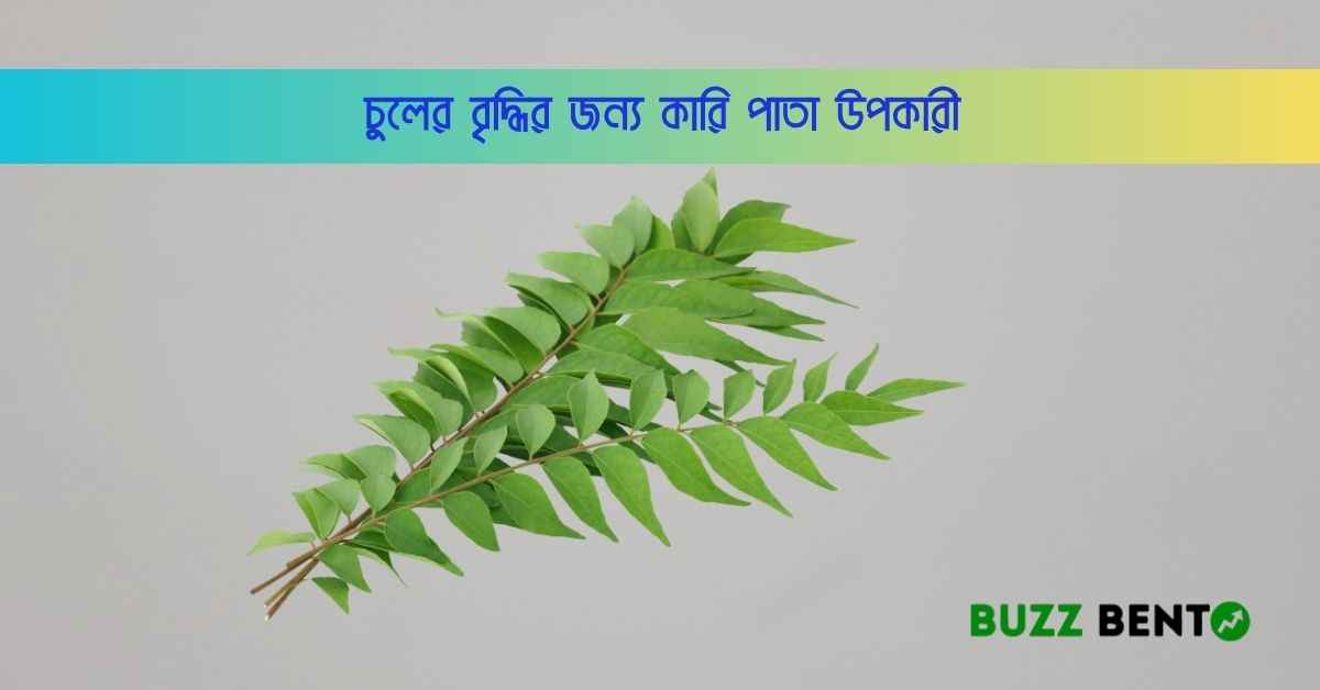 চুলের বৃদ্ধির জন্য কারি পাতা উপকারী