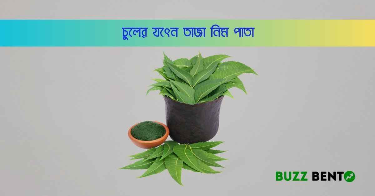 চুলের যত্নে তাজা নিম পাতা