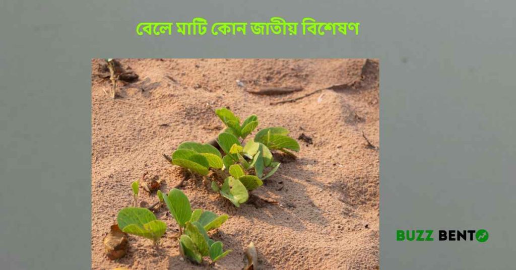 বেলে মাটি কোন জাতীয় বিশেষণ
