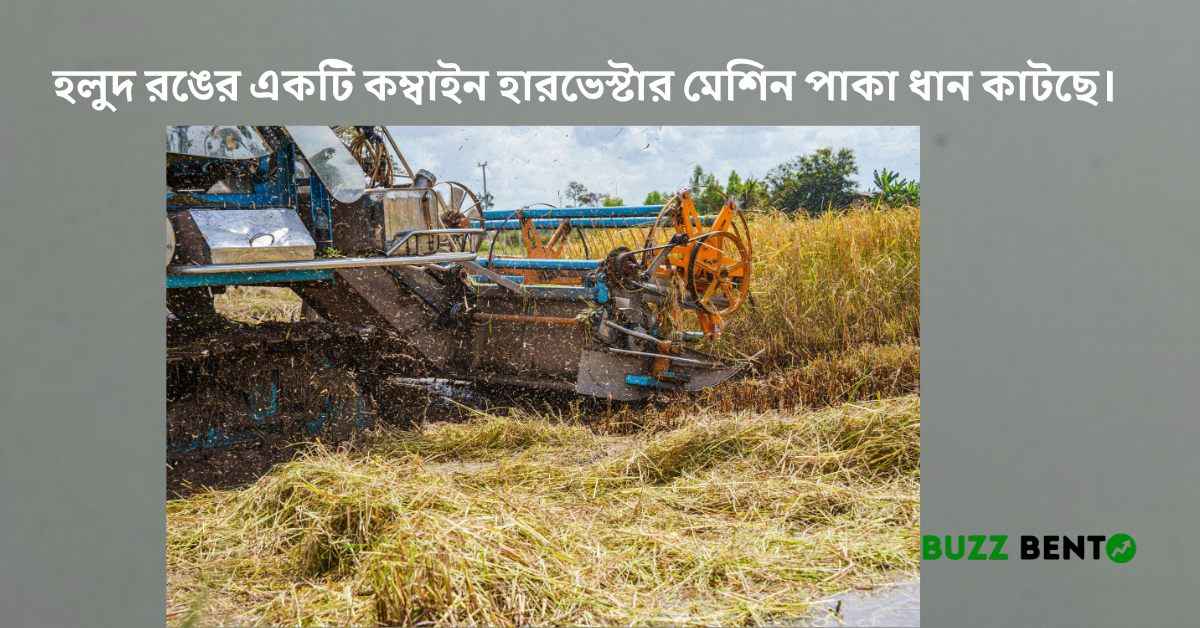 হলুদ রঙের একটি কম্বাইন হারভেস্টার মেশিন পাকা ধান কাটছে।