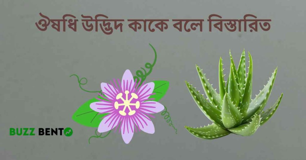 ঔষধি উদ্ভিদ কাকে বলে