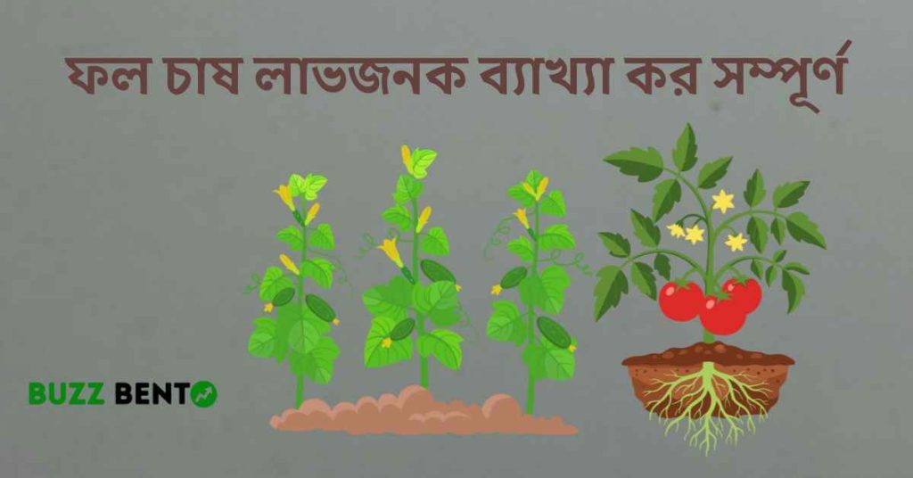 ফল চাষ লাভজনক ব্যাখ্যা কর সম্পূর্ণ বিশ্লেষণ