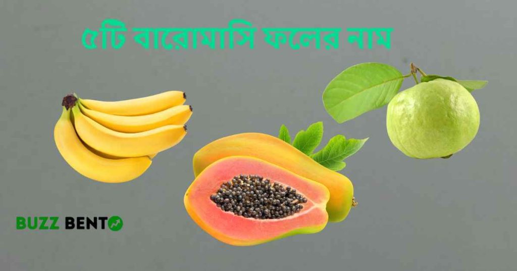 ৫টি বারোমাসি ফলের নাম, সারা বছর পাওয়া যায়