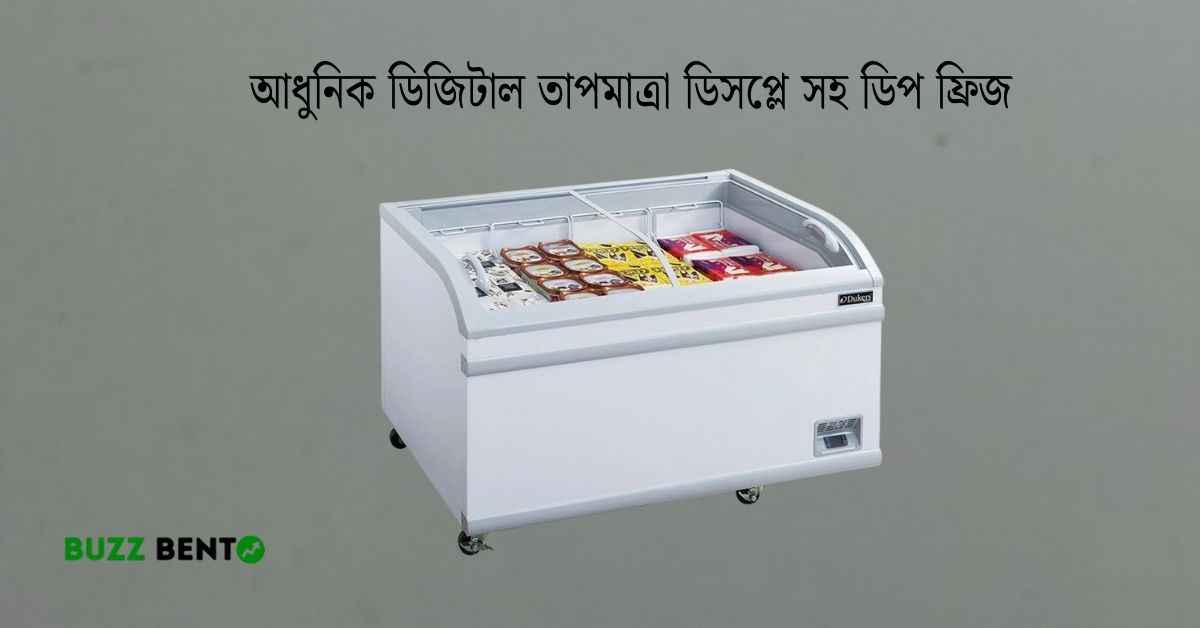 আধুনিক ডিজিটাল তাপমাত্রা ডিসপ্লে সহ ডিপ ফ্রিজ