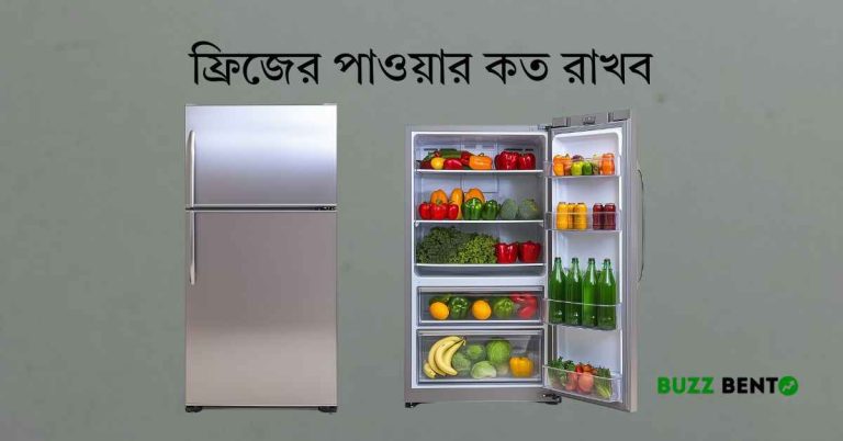 ফ্রিজের পাওয়ার কত রাখব