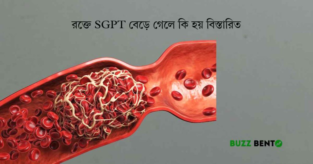 রক্তে sgpt বেড়ে গেলে কি হয়
