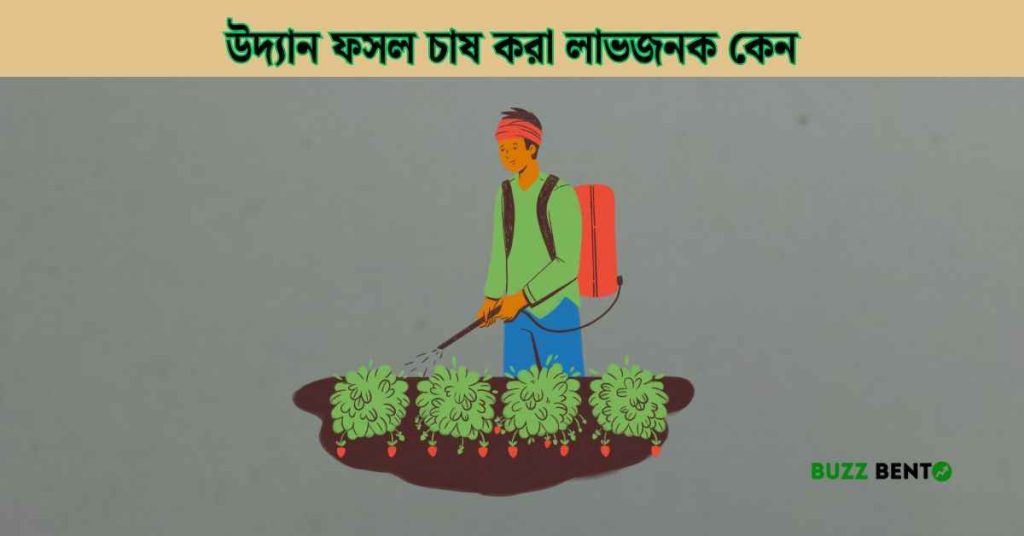 উদ্যান ফসল চাষ করা লাভজনক কেন