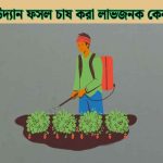 উদ্যান ফসল চাষ করা লাভজনক কেন সম্পূর্ণ গাইড