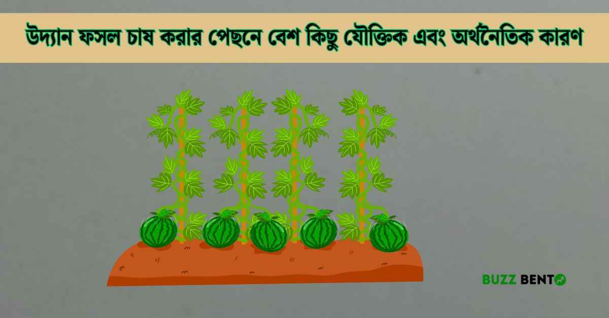 উদ্যান ফসল চাষ করার পেছনে বেশ কিছু যৌক্তিক এবং অর্থনৈতিক কারণ