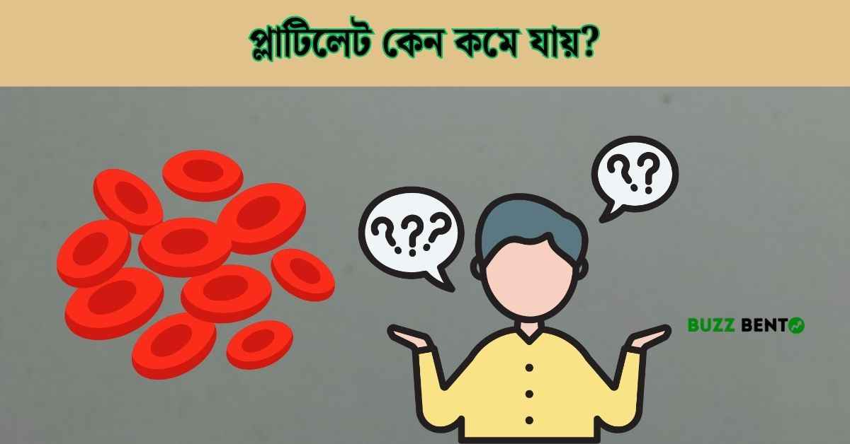 প্লাটিলেট কেন কমে যায়