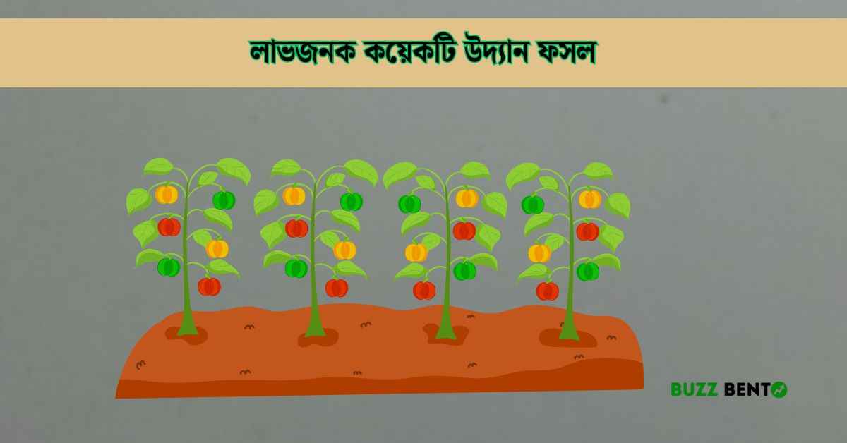 লাভজনক কয়েকটি উদ্যান ফসল