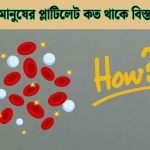 সুস্থ মানুষের প্লাটিলেট কত থাকে বিস্তারিত তথ্য