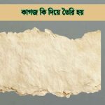 কাগজ কি দিয়ে তৈরি হয় বিস্তারিত জেনে নিন