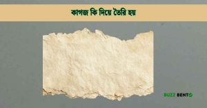 কাগজ কি দিয়ে তৈরি হয় বিস্তারিত জেনে নিন