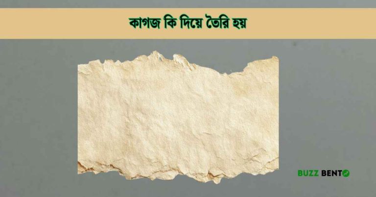 কাগজ কি দিয়ে তৈরি হয়