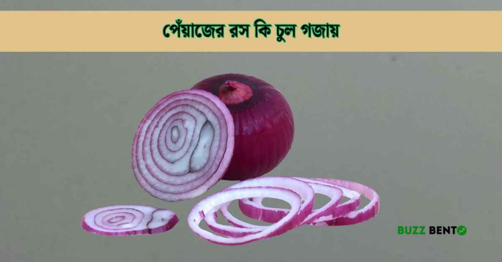পেঁয়াজের রস কি চুল গজায়