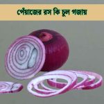 পেঁয়াজের রস কি চুল গজায়, জানুন সঠিক তথ্য