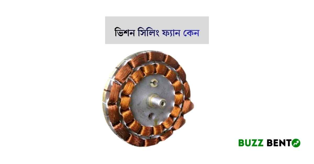 ভিশন সিলিং ফ্যান কেন