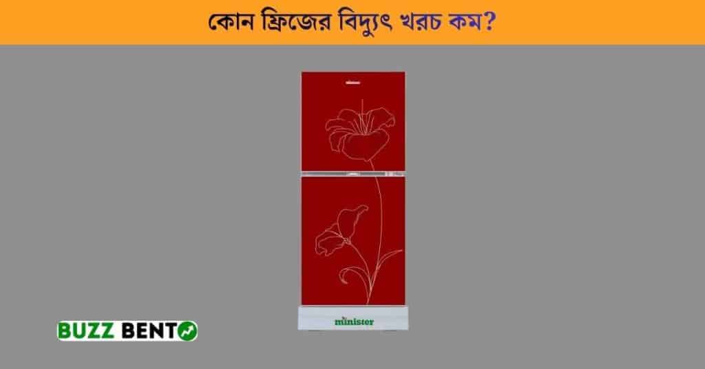 কোন ফ্রিজের বিদ্যুৎ খরচ কম